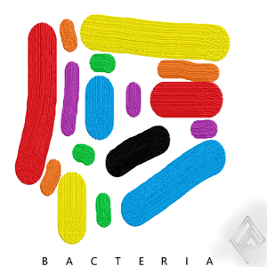 细菌 3