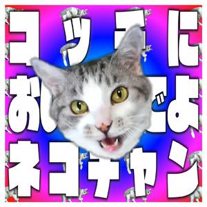 コッチにおいでよネコチャン