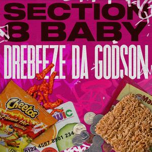Section 8 Baby