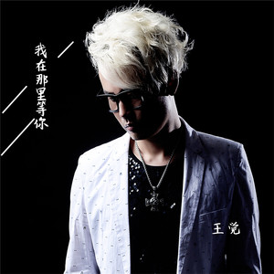 我在那里等你 (伴奏)