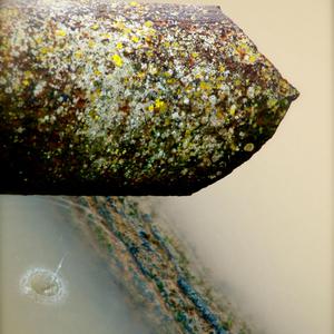 After The Rainbow Has Gone