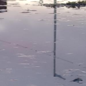 trotventurs1 trot statio