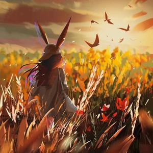 落在生命里的光