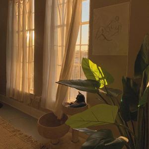 Shape Of My Heart【钢琴版】（这个杀手不太冷片尾曲）