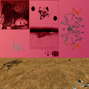 And the Moon Followed (0 Point Gravity)