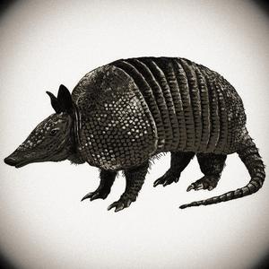 Broken mind and souls