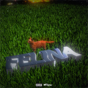 Felina