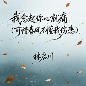 我念起你心就痛(可惜春风不懂我伤悲)