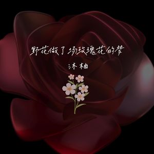 野花做了场玫瑰花的梦 (完整版)