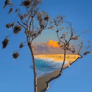 我对你的付出你总是假装无辜