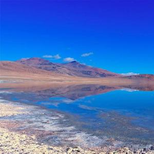 爱的旋转陀螺 (1)