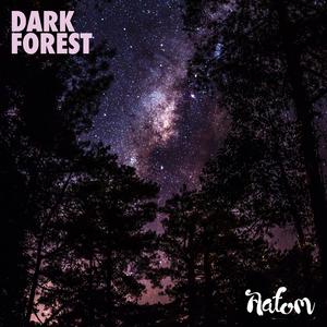 Dark Forest