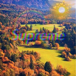 沐浴阳光（FREE）