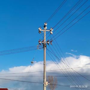 何必诗债换酒钱女版Cover黄师傅HBY