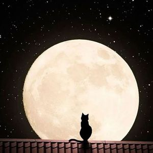 Shut Up My Moms Calling (Sped Up)