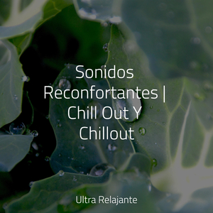 El Estrés Simplemente Se Derrite