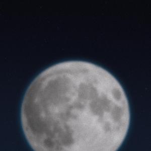 Piccola