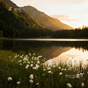 热烈盛开 (Cover 周深)