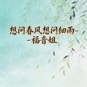 想问春风想问细雨 - DJ涵涵版
