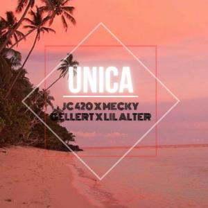 Única (feat. Lil Alter & JC 420)
