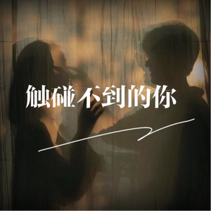 触碰不到的你