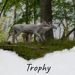 Trophy