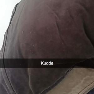 Kudde