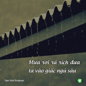 Mưa Đêm Như Người Bạn Tri Kỷ