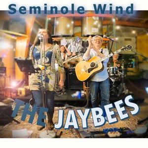 Seminole Wind