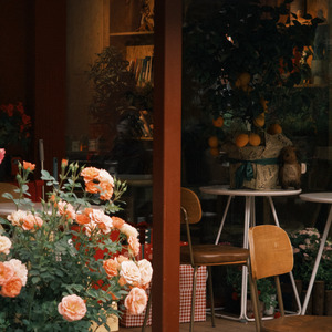 ที่ปรึกษา(Cover)