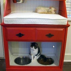 The Girls on Drugs (slowed)