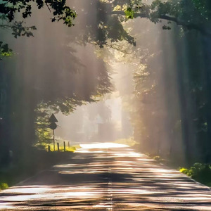 Lightfall