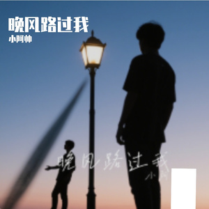 晚风路过我