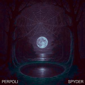 SPYDER