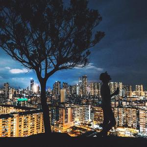 当我娶过她 (抖音完整版) (何深彰)