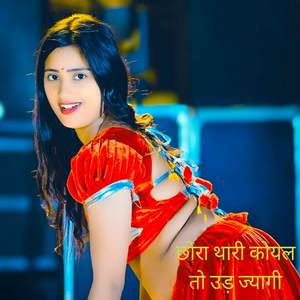 छोरा थारी कोयल तो उड़ ज्यागी