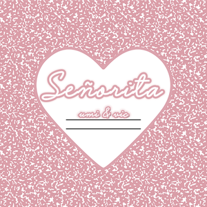 Señorita（翻自 Shawn Mendes）