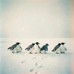 Penguin March