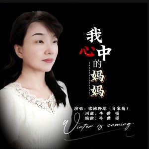 我心中的妈妈-（雪地野草采用） 伴奏