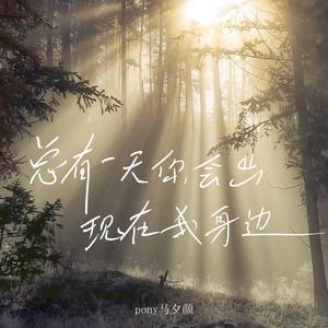 总有一天你会出现在我身边