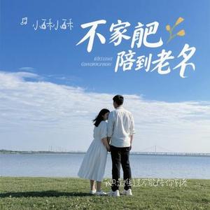 我只是难过不能陪你到老 (小酥小酥 Remix)