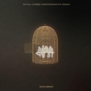 Schau vorbei - Remix