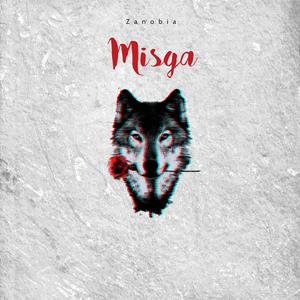 Misga