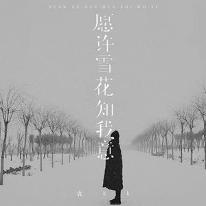 愿许雪花知我意
