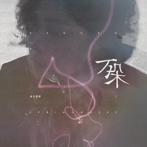 不可及的花朵(Don't Look Back)