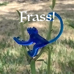 The Seed Is Not the Flower