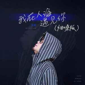 我在人海遇见你 (烟嗓版)