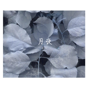 月夜