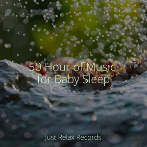 Whispers of the Silent Grove