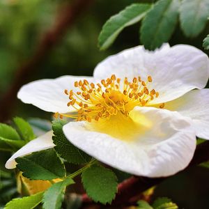 余生温暖你（纯音乐）